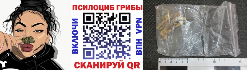 Псилоцибиновые грибы GOLDEN TEACHER  Купить закладки  Северодвинск 